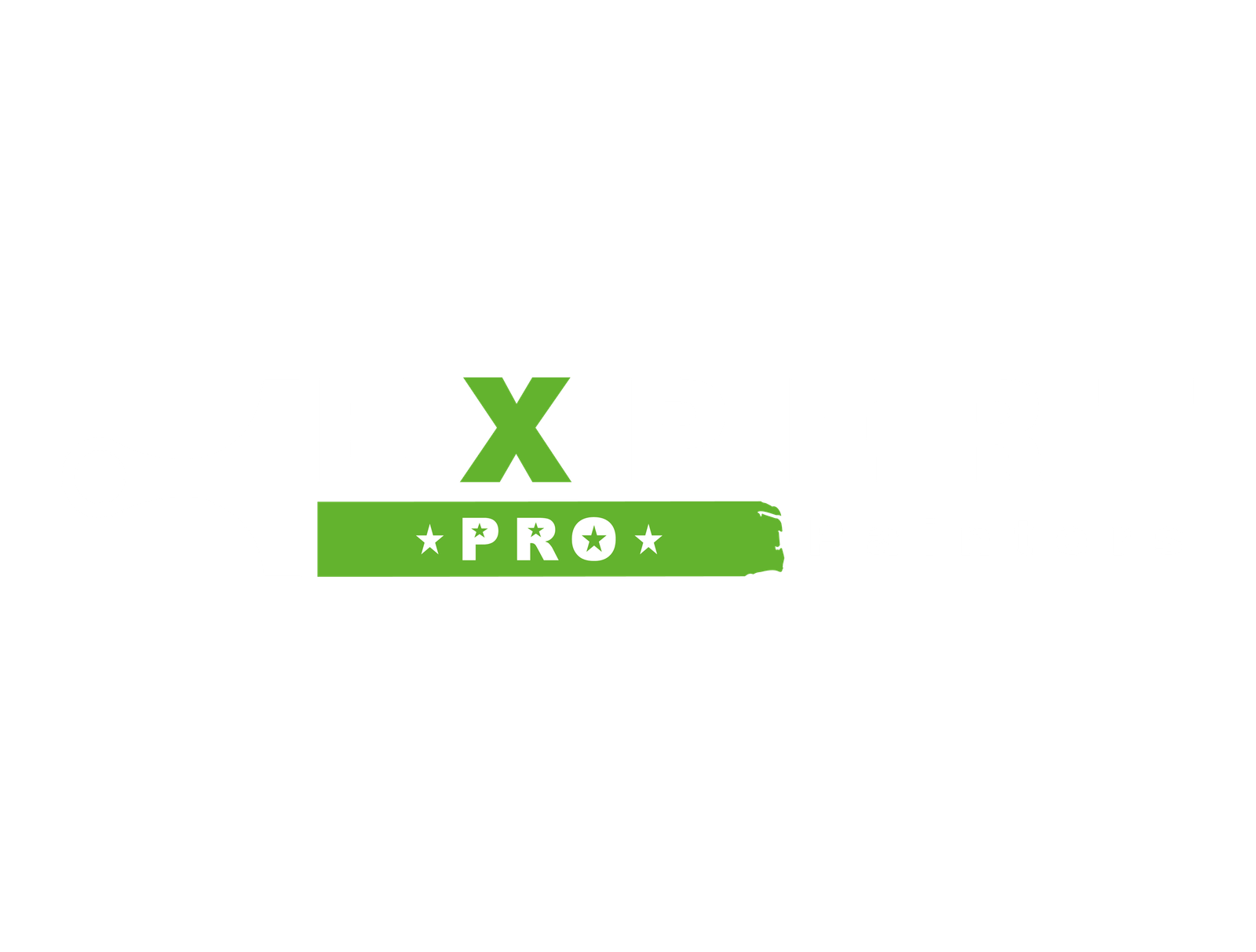 Expert Pro Painters Inc logo